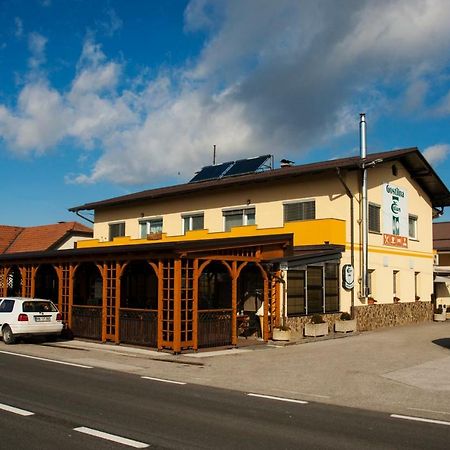 Guest House Celan Spodnja Hajdina Luaran gambar
