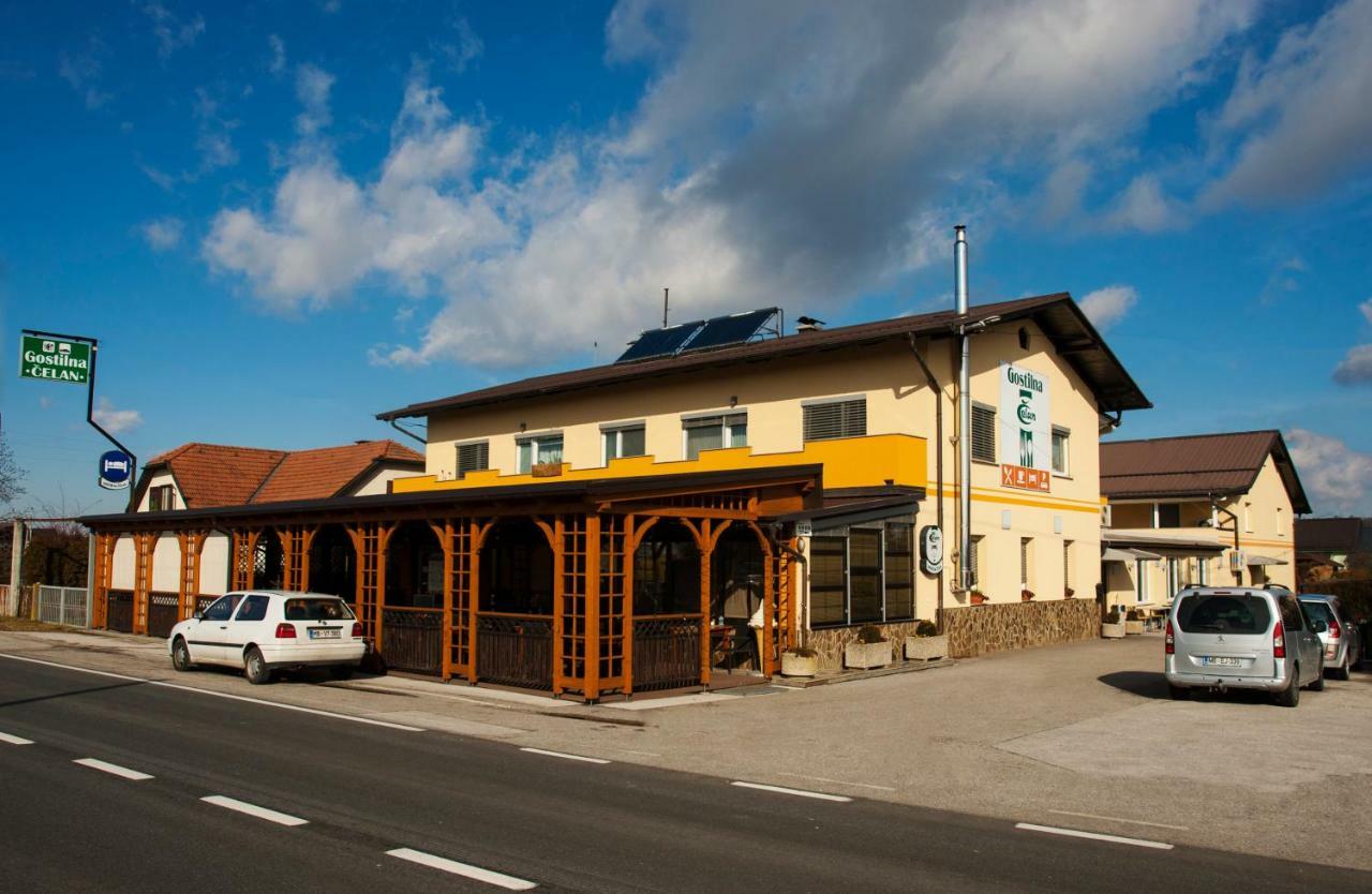 Guest House Celan Spodnja Hajdina Luaran gambar